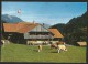 ROSSBERG Berggasthaus Ob Oberwil Simmental 1990 - Oberwil Im Simmental 