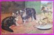 Cpa Raphael Tuck Série Catland N° 8884 Two Kittens With Many Ducklings Illustrateur Cobbe Oilette Chatons Avec Canetons - Wood, Lawson