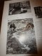Delcampe - 1928 GENEVE,villa Bartholoni;Art-Ménager;Alpinism Aérien Charousse,Mt-Blanc,etc;Emeute CANTON(Chine;QUEBEC;Edith Cavell - L'Illustration