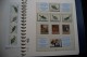 Delcampe - België Collectie Postfris Van 1980 Tot En Met 1990 In Mooi Lindner Album Met Slipcase. - Sammlungen