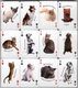 Russian Playing Cards DOGS & CATS (36) (2) - Playing Cards (classic)