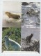 Greenland WALRUS WOLF RABBIT PHOTO LETTER MINT - Vita Acquatica