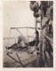 Photo 1917 Sur Le Paquebot S.S. MONGOLIA - La Passerelle (A95, Ww1, Wk 1) - Dampfer