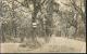 Rare Bad Soden Taunus Partie Bei Der Cronberger Chaussee Schild Promenadenfahrweg Personen Auf Parkbank 21.7.1919 - Bad Soden