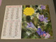 Calendrier 1986 - OLLER - Fleurs Sauvages - 227 - Photo Tapador De Selva - Age - Formato Grande : 1981-90