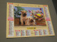 Calendrier 1993 - OBERTHUR - Jeunes Shar Pei - Photo VLOO - Tamaño Grande : 1991-00