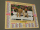 Calendrier 1993 - OBERTHUR - Jeunes Shar Pei - Photo VLOO - Grand Format : 1991-00