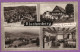 ACHERN - Gasthaus Pension Bischenberg Post Sasbachwalden In Schwarzwald Echt Photo Circulé 1961 - Achern