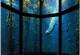 Thème - Sport - Plongée Sous-marine - Plongeur  - Monterey Bay Aquarium - Kunst- Und Turmspringen