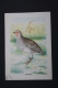 Old Trading Card/ Chromo Topic/ Theme Birds - Netherland Collection - Patrijs/ Grey Partridge - Autres & Non Classés