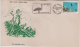 India 1977  Birds  Cranes  Ranganathittu Birds Sanctuary  KARNAPEX Special Cover # 84156   Indien Inde - Other & Unclassified