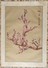 CINA (China): Old And Fine Chinese Painting - Oriental Art