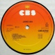 * LP *  JANIS IAN - SAME (Holland 1978 EX-!!!) - Andere - Engelstalig