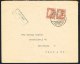 1932. Gullfoss. 65 Aur Brown In Pair Sent PAR AVION To Danmark . REYKJAVIK 6. IV. 43. (Michel: 154) - JF104553 - Covers & Documents