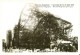 BELGIQUE (14/08/1910) : Ruines Du Pavillon Belge à L'Expo Universelle De Bruxelles. CARTE 73 DES ARCHIVES DU SOIR (2005) - Catastrophes