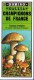 GUIDE DOMINO GALLIA N°3 EN COULEUR EN FORME DE CARTE ROUTIERE 24 PLANCHES 11cmX25cm CHAMPIGNONS DE FRANCE COMESTIBLES ET - Autres Plans