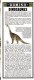 GUIDE DOMINO GALLIA N°11 EN COULEUR EN FORME DE CARTE ROUTIERE 24 PLANCHES 11cmX25cm DINOSAURES PREHISTORIQUE PROTOCERAT - Fiches Didactiques