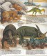 GUIDE DOMINO GALLIA N°11 EN COULEUR EN FORME DE CARTE ROUTIERE 24 PLANCHES 11cmX25cm DINOSAURES PREHISTORIQUE PROTOCERAT - Fiches Didactiques