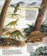 Delcampe - GUIDE DOMINO GALLIA N°11 EN COULEUR EN FORME DE CARTE ROUTIERE 24 PLANCHES 11cmX25cm DINOSAURES PREHISTORIQUE PROTOCERAT - Fiches Didactiques