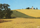 Environs De Vichy - Colline Et Eglise De COGNAT-LYONNE - Other & Unclassified