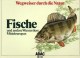 Fische Und Wassertiere+Korea 1668/2 KB,1937/9,ER+Kleinbogen O 30€ Bloque Hoja Hb Bloc Fauna M/s Fishes Sheetlet Bf Corea - Animaux