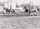 Delcampe - équitation TOULOUSE La Cépière Gros Lot De + De 160 Photos / Années 1979 à 1981 - Toulouse