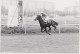 Delcampe - équitation TOULOUSE La Cépière Gros Lot De + De 160 Photos / Années 1979 à 1981 - Toulouse