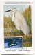 TCHAD CARTE MAXIMUM DU PA 88  1000F. GRANDE AIGRETTE OBLITERATION 1er JOUR FORT-LAMY 28 SEPT 71 - Tchad (1960-...)