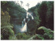 (789) Australia - TAS - St Helen St Colomba Waterfall - Wilderness