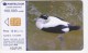 Romania   , Phonecards   , 2008 , Birds ,  Used - Other & Unclassified