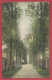Dour - Allée Du Bois D'Epinoy - - Jolie Carte Couleur - 1908 ( Voir Verso ) - Dour