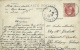 Dour - Allée Du Bois D'Epinoy - - Jolie Carte Couleur - 1908 ( Voir Verso ) - Dour