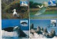 NEW ZEALAND - 1996 , Einheimische Tiere  - 6 MC ,  Maximumkarten - Sonstige & Ohne Zuordnung