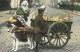 ATTELAGE De CHIEN Hondenkar GENDARME POLICE DOUANE Laitiere Dog Drawn Cart Milk-maid Voiture à Chiens Hundekarre 2178 - Altri & Non Classificati