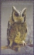 Thailand - Owls, Set Of 4 Stamps, MINT, 2013 - Owls