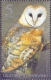 Thailand - Owls, Set Of 4 Stamps, MINT, 2013 - Owls