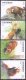 Taiwan - Red Panda, Set Of 4 Stamps, MINT, 2007 - Bears