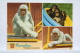 Nice Topic Postcard - Monkeys/ White Monkey Snowflake Gorilla/ Copito De Nieve Zoo Barcelona - Monos