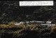 ANTARCTIC,R.S.A., 3 Original Color-Photos Freom GOUGH-Island, Look Scan !!  27.1-02 - Antarctische Expedities