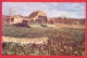 161912 / PINAR DEL RIO - PANORAMIC VIEW OF A TOBACCO DRIER   - CUBA KUBA - Tabak