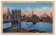 New York City, Brooklin Bridge, éd. Alfred Mainzer N° 149, Scan Recto-verso - Brooklyn