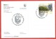 ITALIA REPUBBLICA CARTOLINA - 2012 - 18° Palio San Giovanni Battista Fabriano Porta Pisana - Vernaccia Serrapetrona - 2011-20: Storia Postale