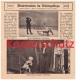 Original Zeitungsbericht - 1911 -  Wintersport In Schreiberhau / Szklarska Poreba , Ski , Schlitten !!! - Schlesien