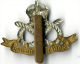 Insigne BRITANIQUE Royaume Unis - Cap Badge SOUTHSTAFFORDSHIR - Armée De Terre