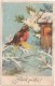 Christmas Greeting Card - Bullfinch - Birds - HM - Circulated In Estonia 1930s - Autres & Non Classés