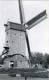 GITS Bij Hooglede (W.Vl.) - Molen/moulin - De Grijspeerdmolen Kort Na De Overplaatsing En Restauratie Van 1980-1982 - Hooglede