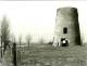 HAALTERT (Oost-Vlaanderen) - Molen/moulin - Historische Opname Van De Verdwenen Stenen Molenromp (´Topmolen´) In 1982 - Haaltert