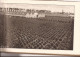 FLANDRIA BOOMKWEKERIJ Te BRUGGE Veel Foto´s O A Station Met Wagons Ref Zui B - Agriculture