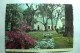 Old St. Andrews Episcopal Church Near Charleston - Charleston