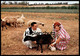 ÄLTERE POSTKARTE LIBYA VEDUTA CAMPESTRE RURAL VIEW VUE CHAMPETRE TRACHT Traditional Costume Folklorique Libye Sheep Cpa - Libyen